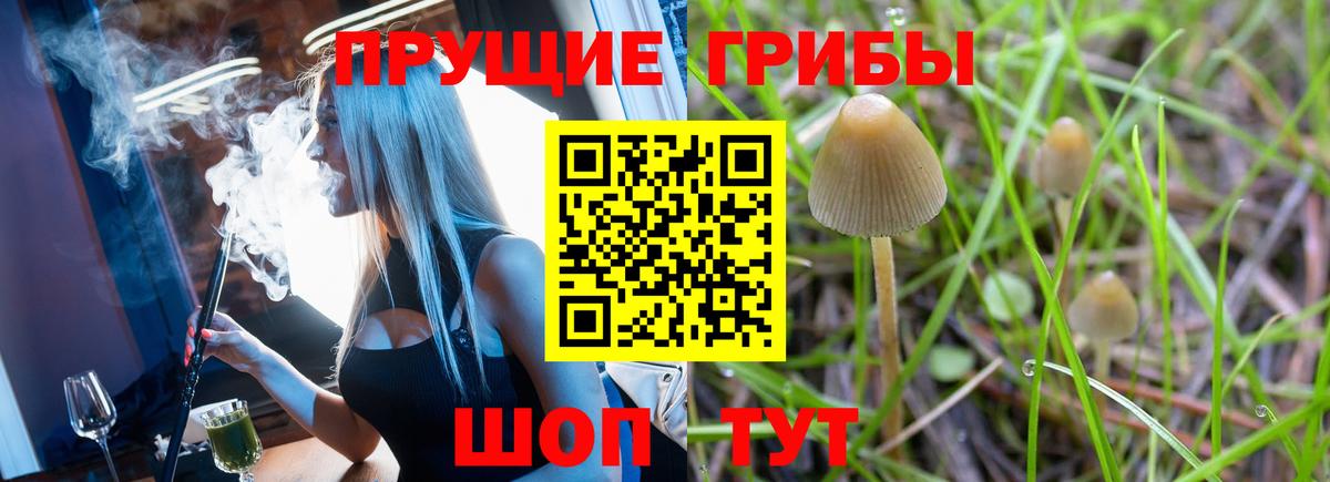 Псилоцибиновые грибы Psilocybine cubensis  Вход с VPN  Галлюциногенные грибы мухоморы  Кировск 